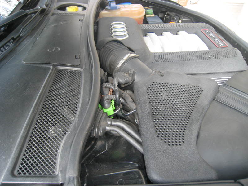 Name:  IMG_4361.jpg
Views: 126
Size:  71.5 KB