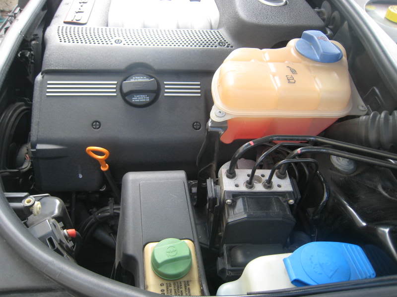 Name:  IMG_4362.jpg
Views: 185
Size:  57.7 KB