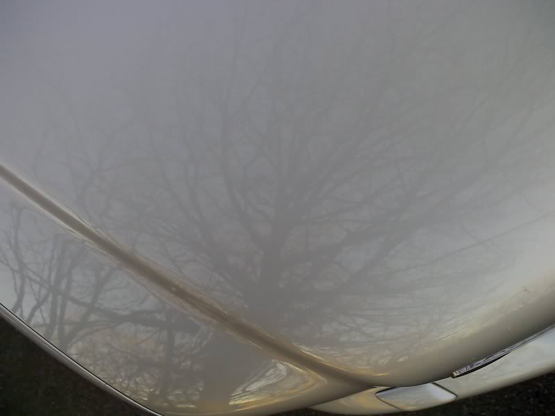 Name:  02-14-08_1647.jpg
Views: 22
Size:  31.0 KB