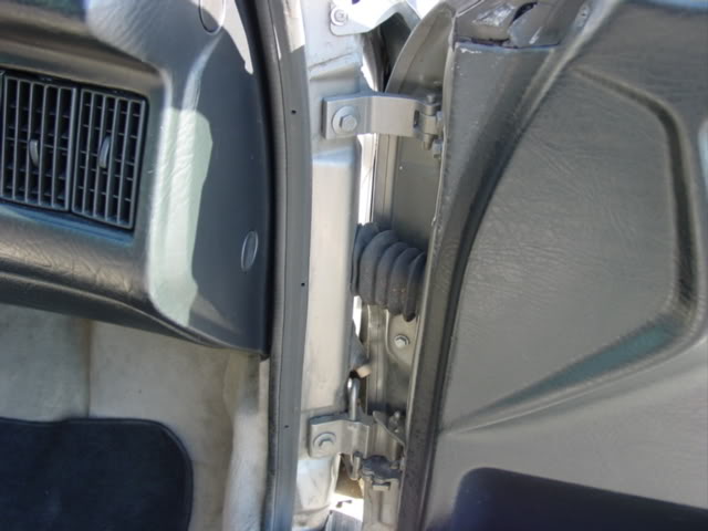 Name:  DSC03595.jpg
Views: 82
Size:  36.5 KB