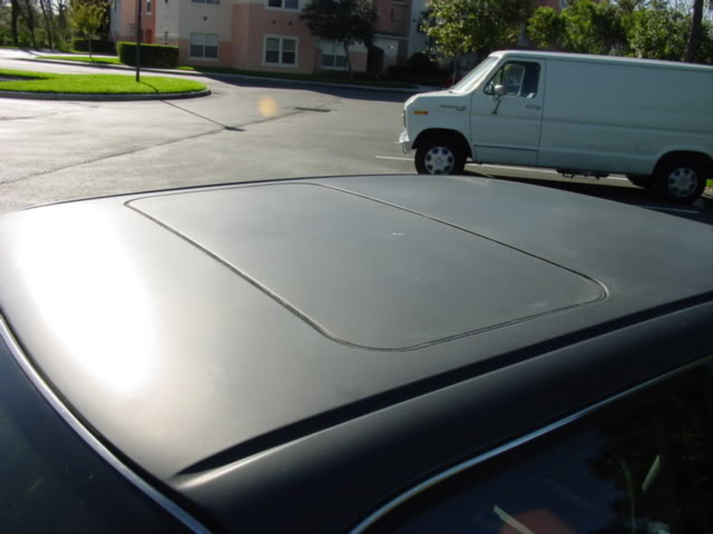 Name:  DSC03576.jpg
Views: 46
Size:  34.8 KB