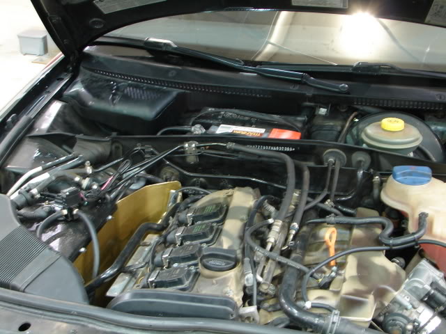 Name: Picture1879.jpg
Views: 115
Size: 68.8 KB