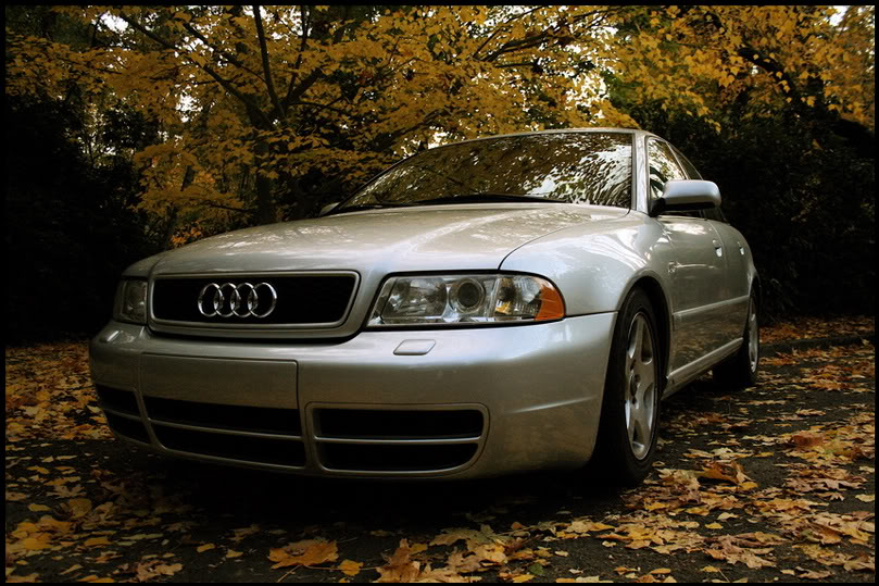 Name:  FreshS41.jpg
Views: 74
Size:  136.6 KB