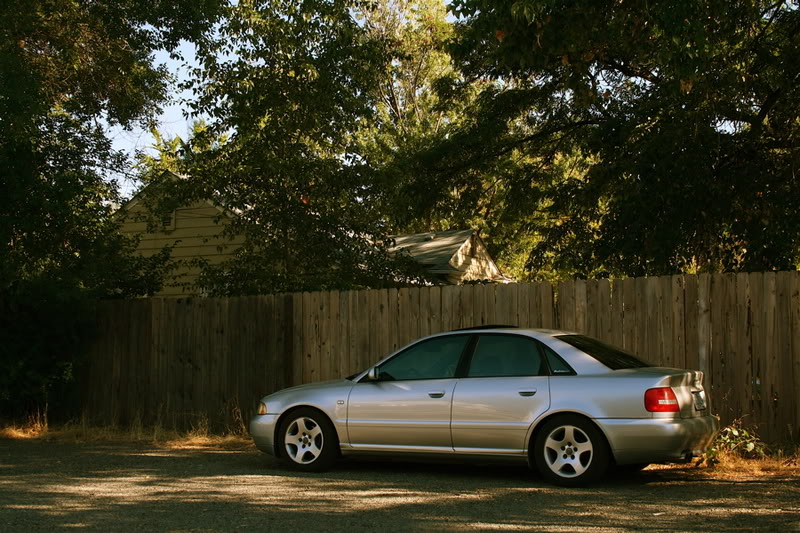 Name:  sideshotwfence.jpg
Views: 48
Size:  136.8 KB