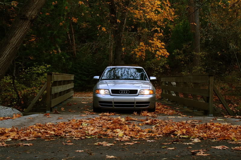 Name:  lithiabridge.jpg
Views: 42
Size:  131.7 KB