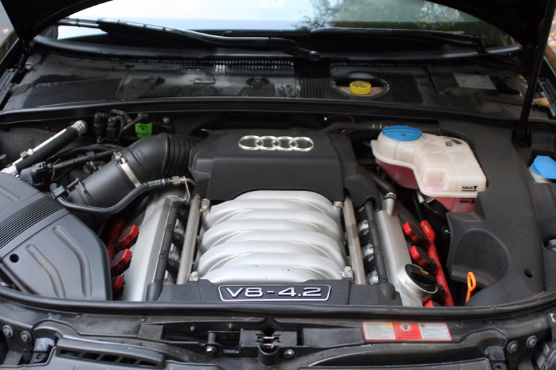 Name:  IMG_5255.jpg
Views: 59
Size:  78.1 KB