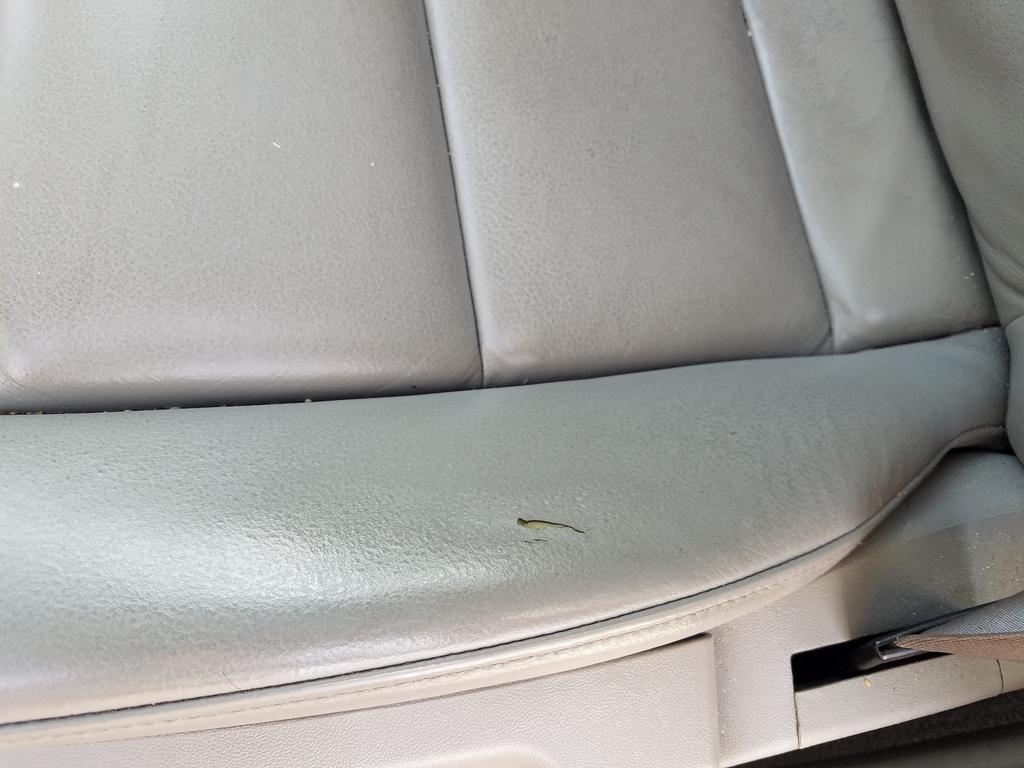 Name:  eWryOQn.jpg
Views: 16
Size:  83.0 KB