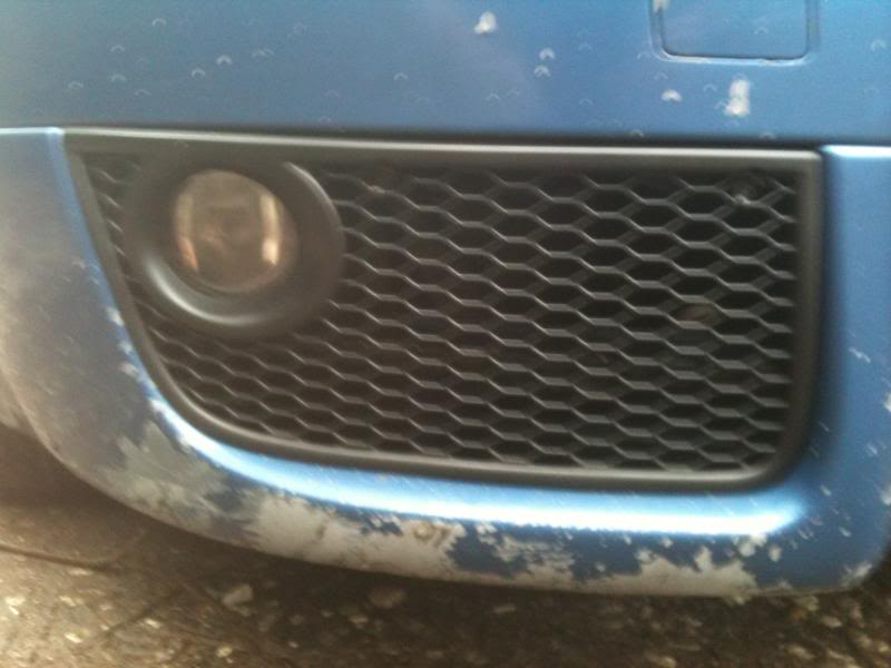 Name:  audigrilloffmycar.jpg
Views: 94
Size:  44.5 KB
