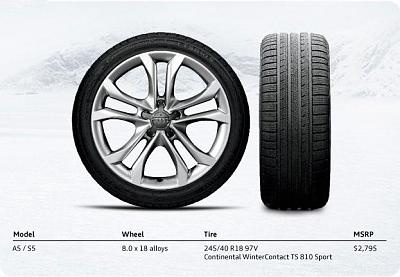 Audi factory winter wheels for sale-a5_s5_winterwheel.jpg