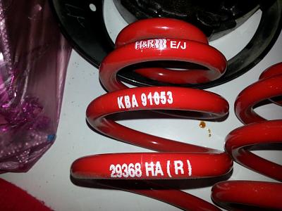 H&amp;R Springs-20130317_175229.jpg