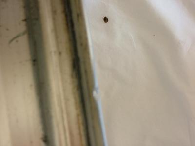 OEM 18" 5x100 RS4's, Texas-dscf1847.jpg