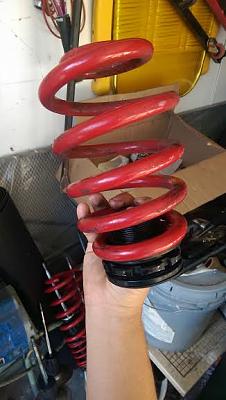 Full Raceland Coilover Kit B6 and B7-number1.jpg