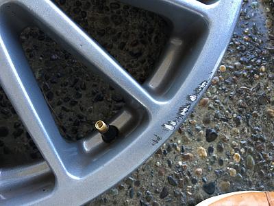 OZ Super Turismo 18x8-img_6247.jpg