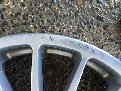 OZ Super Turismo 18x8-img_6249.jpg