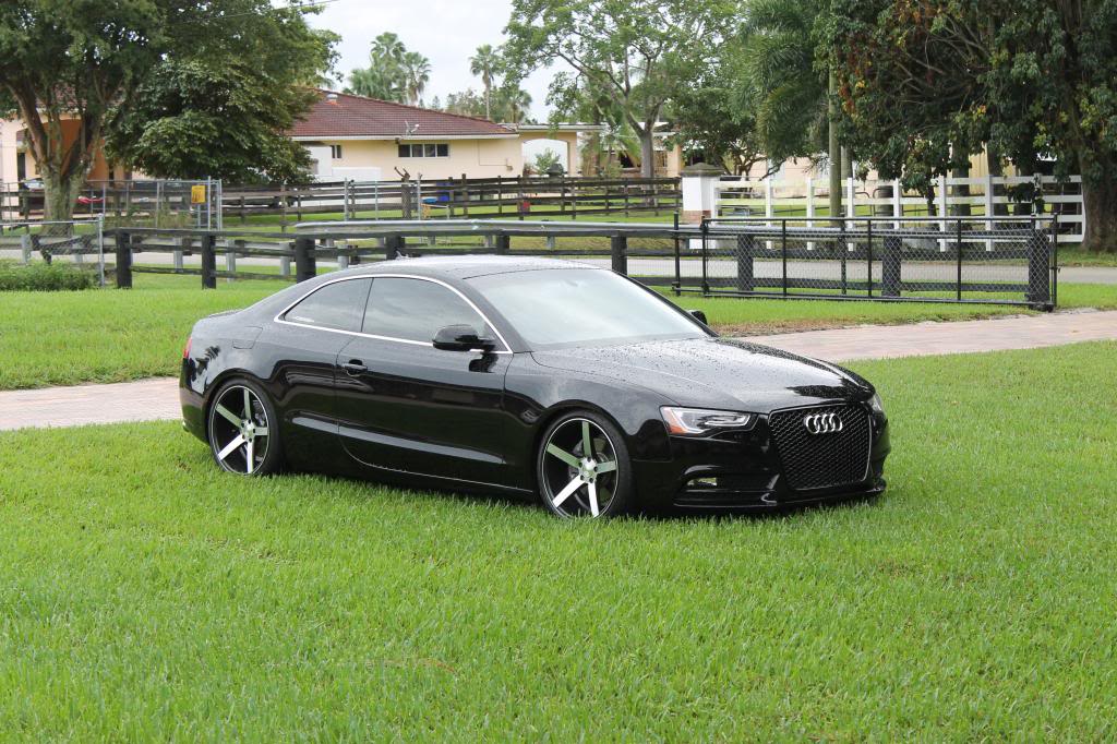 Name:  IMG_3623_zps522f0e00.jpg
Views: 3103
Size:  158.1 KB