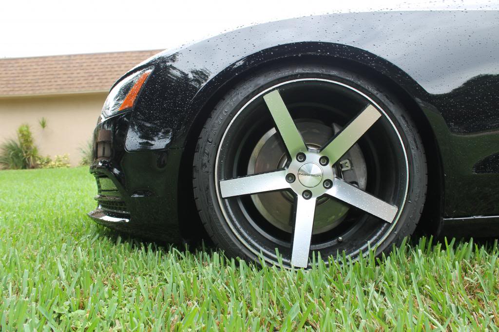 Name:  IMG_3611_zps320b9da0.jpg
Views: 906
Size:  122.6 KB