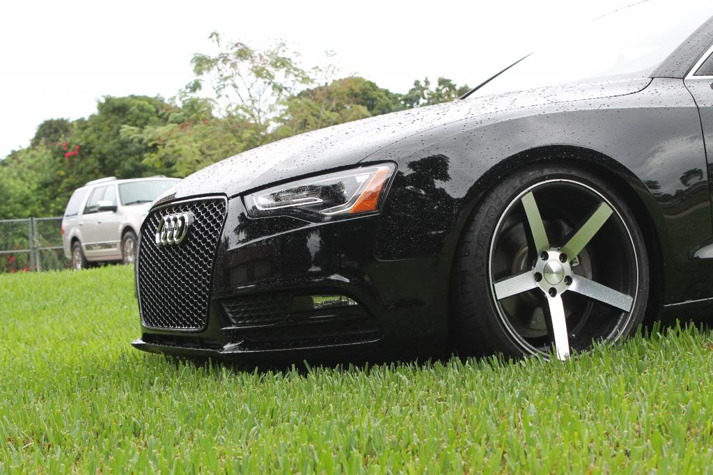 Name:  IMG_3598_zpsd1c2f3ba.jpg
Views: 1214
Size:  116.6 KB