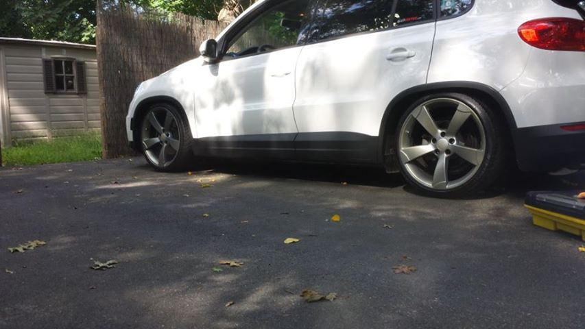 Name:  pearllll.jpg
Views: 54
Size:  55.5 KB