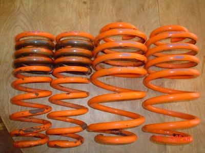 B5S4 Neuspeed Race Springs-coil-spring-neuspeed-race-001.jpg