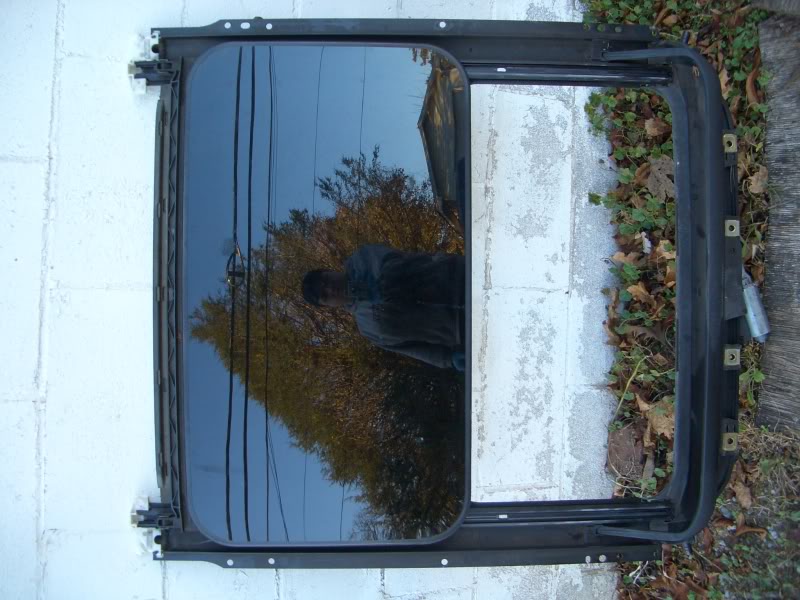 Name:  CIMG0108.jpg
Views: 88
Size:  86.8 KB