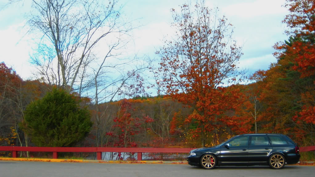 Name:  IMG_0320.jpg
Views: 1255
Size:  167.5 KB