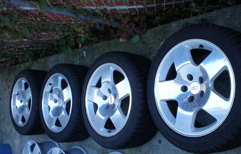 Name:  Fat5_group.jpg
Views: 118
Size:  73.7 KB