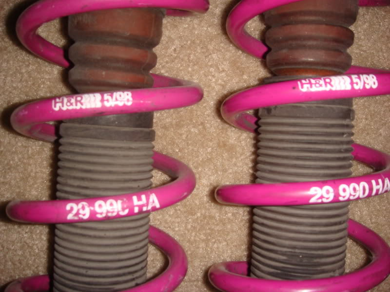 Name:  DSC01682.jpg
Views: 19
Size:  86.6 KB