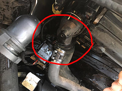 What kind of hose is it and whats the damage?-unnamed.jpg