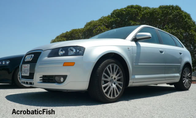 Name:  ACROBATICFISHsolo.jpg
Views: 51
Size:  42.1 KB