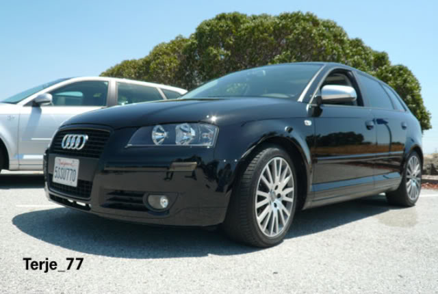 Name:  TERJE_77solo.jpg
Views: 48
Size:  47.8 KB