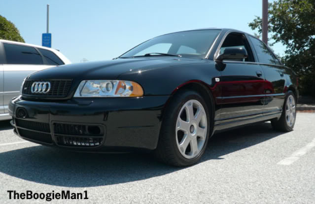 Name:  BOOGIE1solo.jpg
Views: 67
Size:  47.5 KB