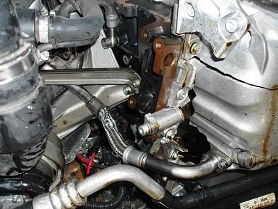 Has anyone seen something like this?-sdc12643.jpg