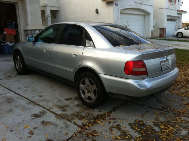 Name:  IMG_4391_zpsa17b2c64.jpg
Views: 85
Size:  60.0 KB