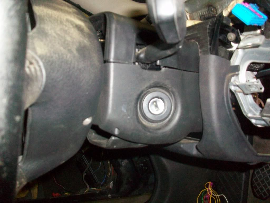 Name:  100_5197.jpg
Views: 311
Size:  114.3 KB