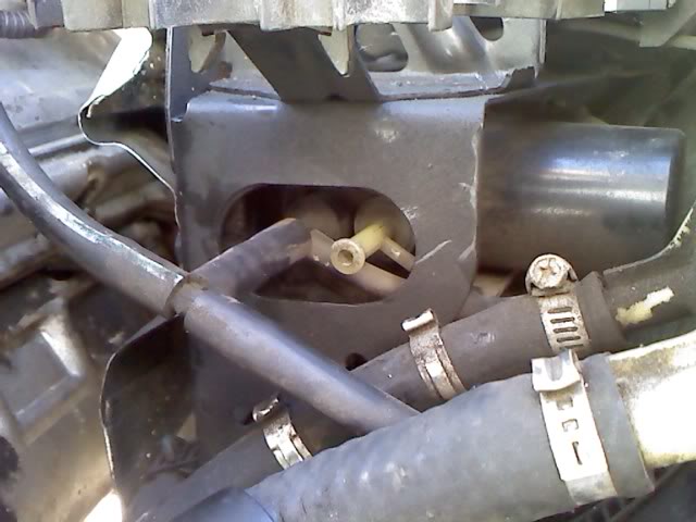 Name:  0125001339.jpg
Views: 23006
Size:  43.4 KB