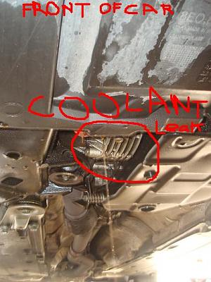 coolant leak (need help/mechanic)-under-car.jpg