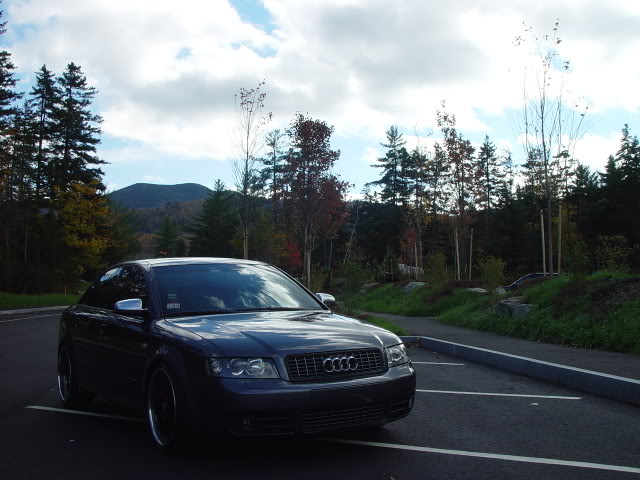 Name:  DSC01850.jpg
Views: 49
Size:  62.3 KB