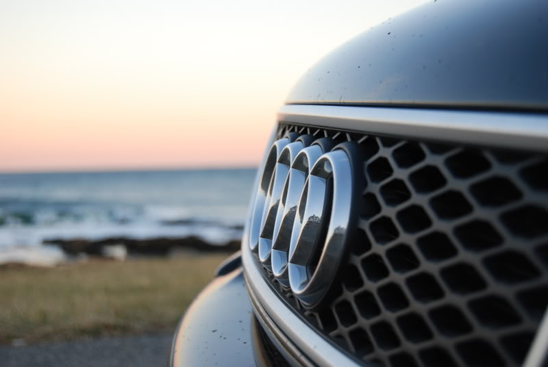 Name:  DSC_0116.jpg
Views: 77
Size:  65.1 KB