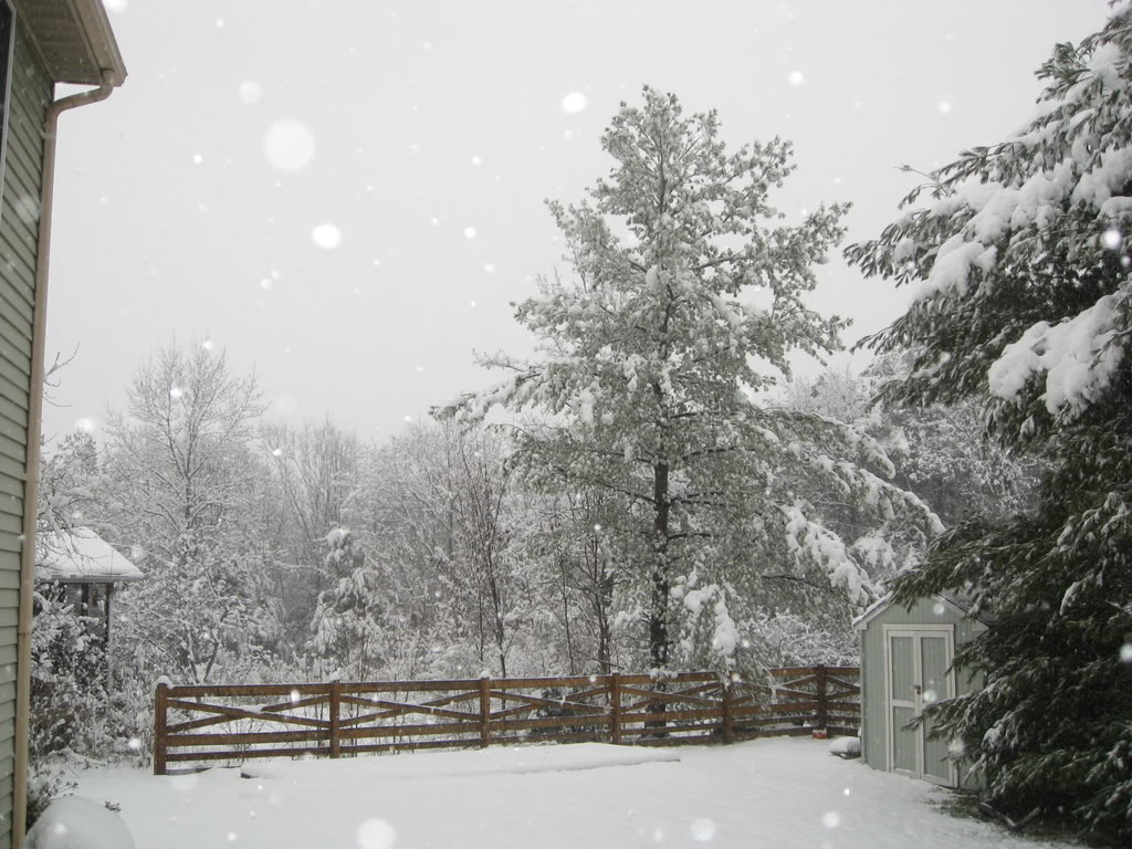 Name:  snow01.jpg
Views: 21
Size:  180.4 KB