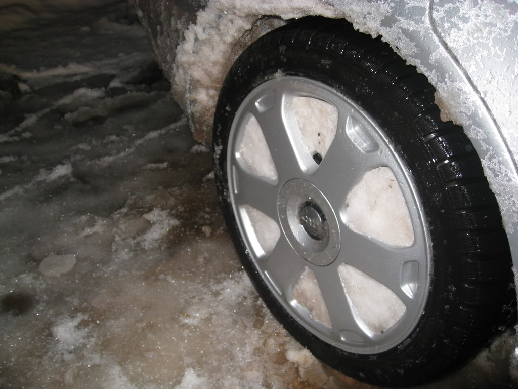 Name:  snow07.jpg
Views: 19
Size:  113.9 KB