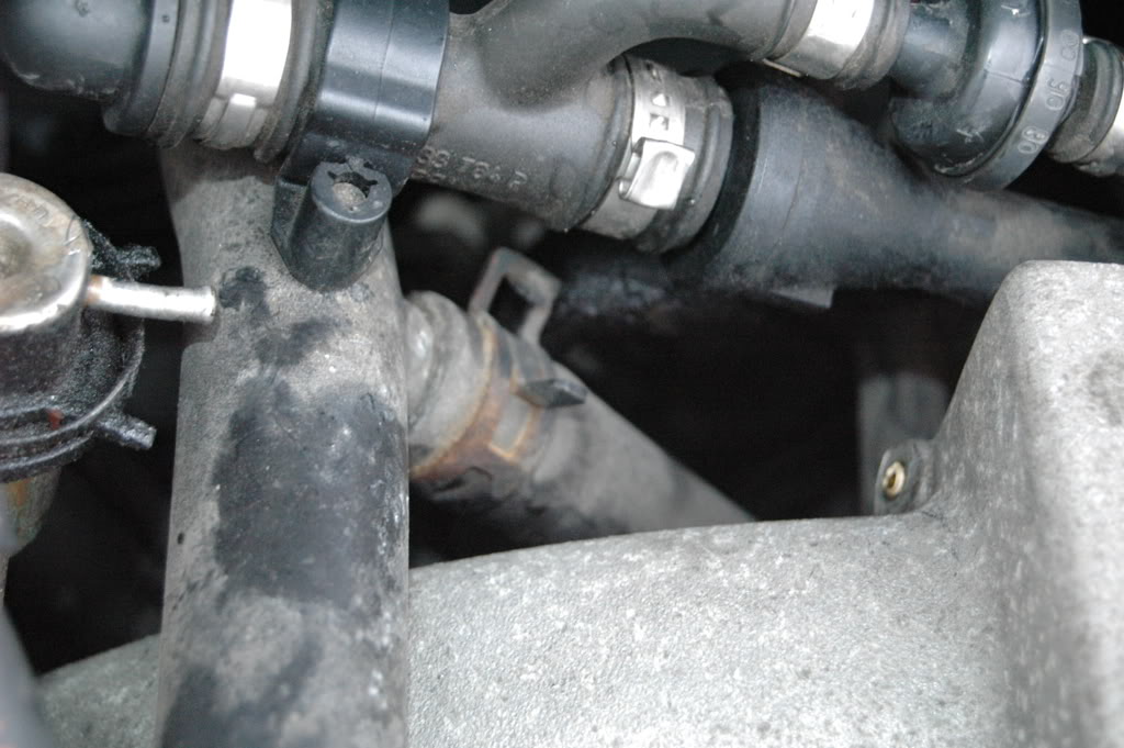 Name:  DSC_0346.jpg
Views: 106
Size:  126.9 KB