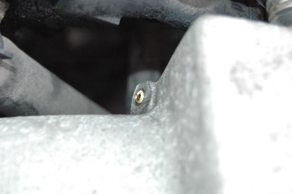 Name:  DSC_0345.jpg
Views: 92
Size:  66.3 KB