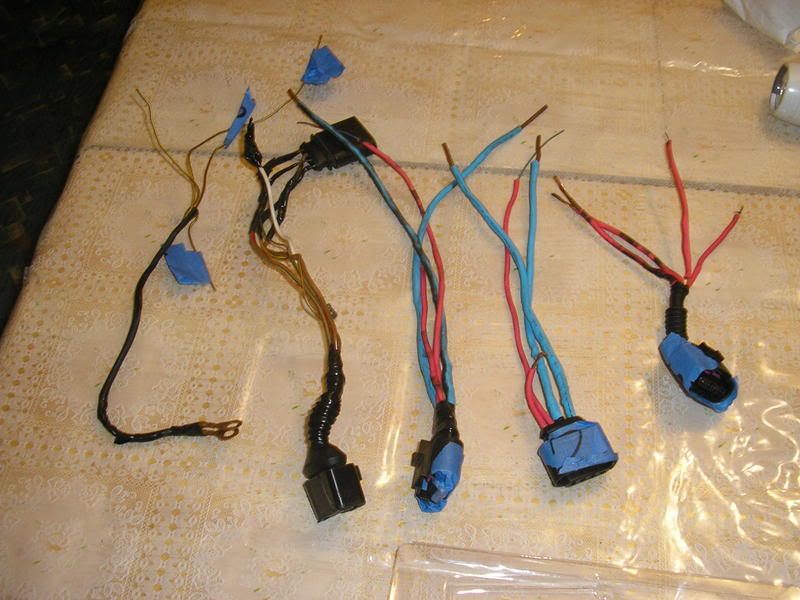 Name:  PB050251.jpg
Views: 17
Size:  78.0 KB