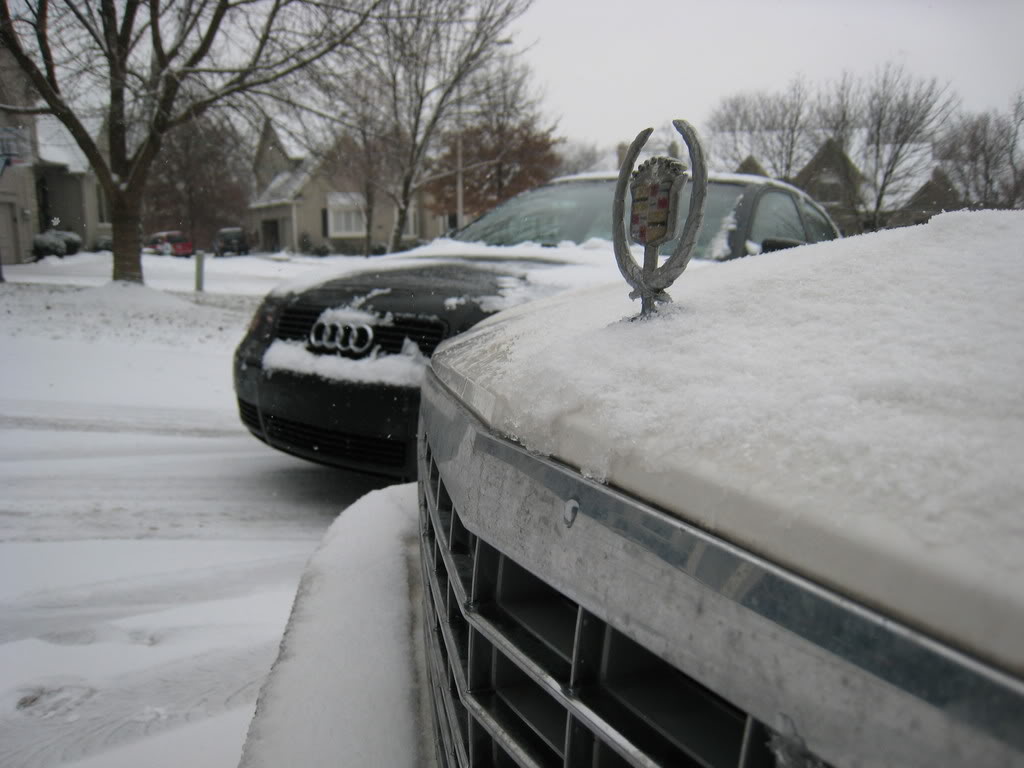 Name: IMG_1361.jpg
Views: 53
Size: 88.8 KB