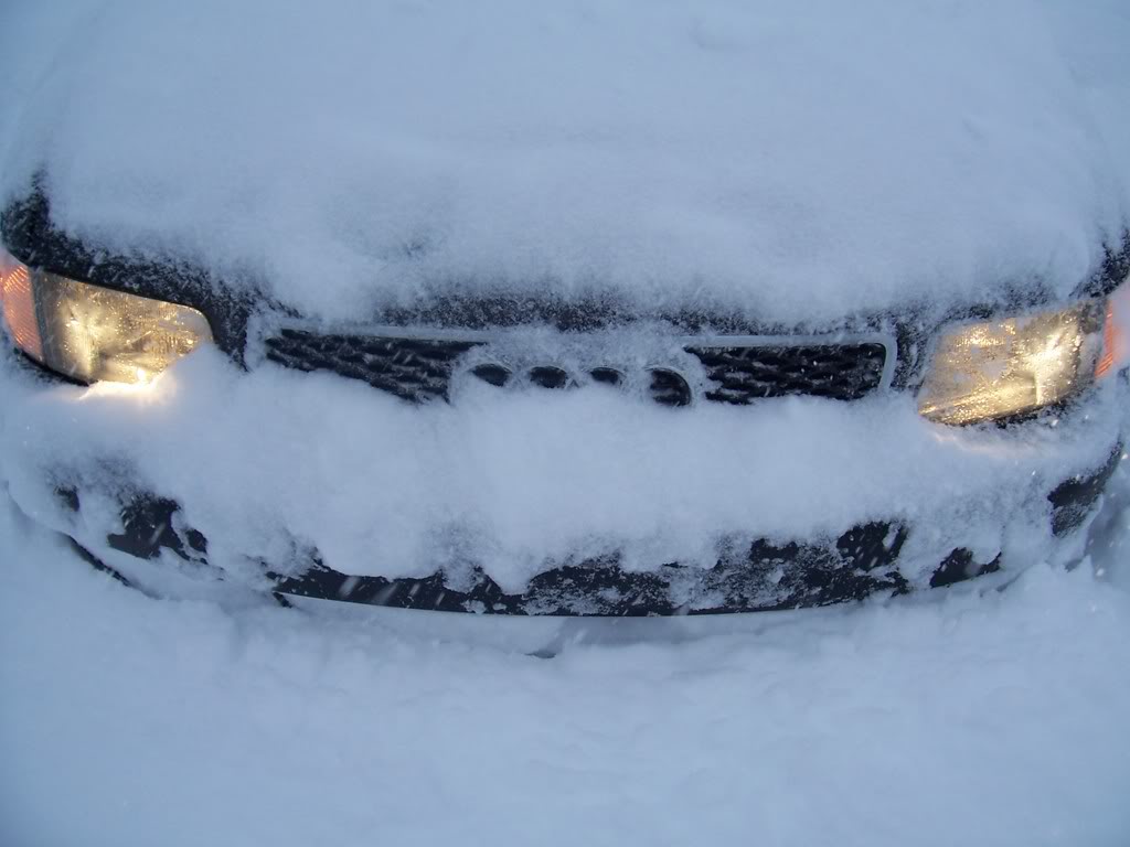 Name: 100_4171.jpg
Views: 22
Size: 68.9 KB