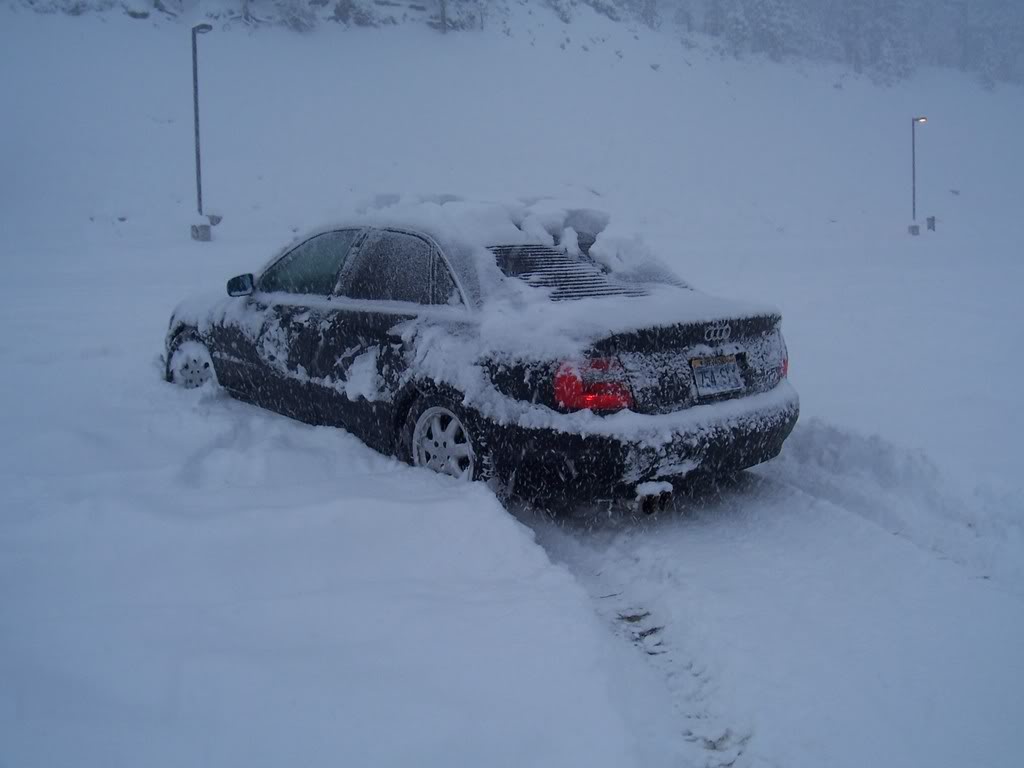 Name: 100_4174.jpg
Views: 88
Size: 58.8 KB