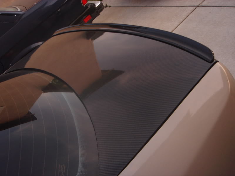 Name:  CFlipwing005.jpg
Views: 21
Size:  39.0 KB