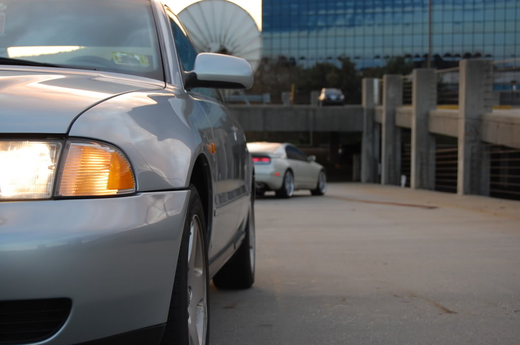 Name:  DSC_0041.jpg
Views: 20
Size:  89.7 KB