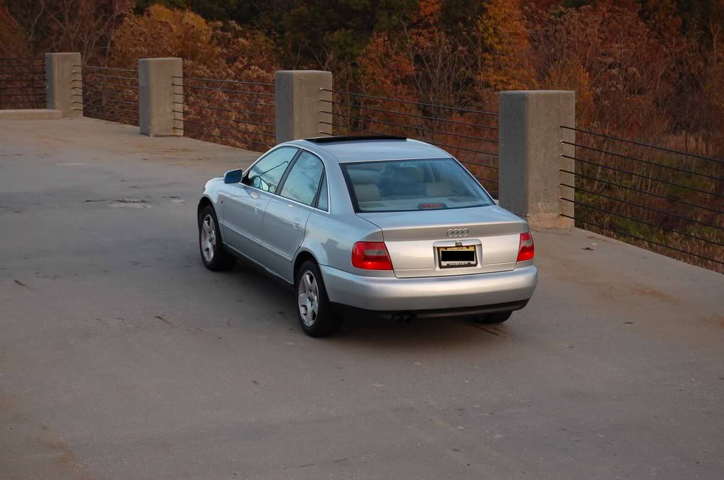 Name:  DSC_00511.jpg
Views: 20
Size:  88.4 KB