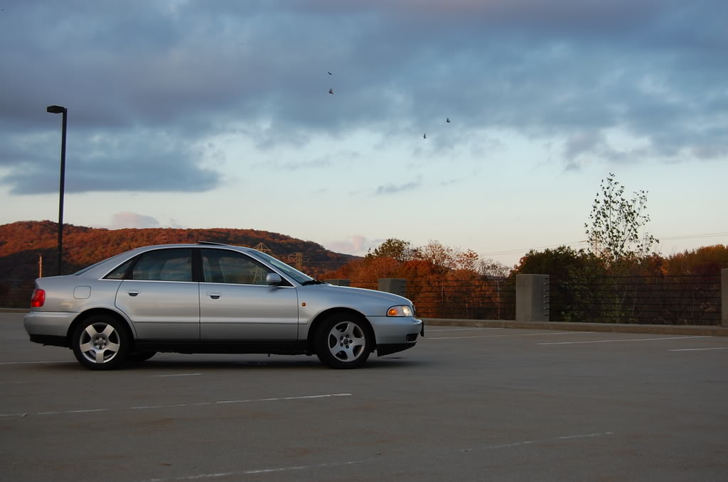 Name:  DSC_0030.jpg
Views: 19
Size:  87.8 KB